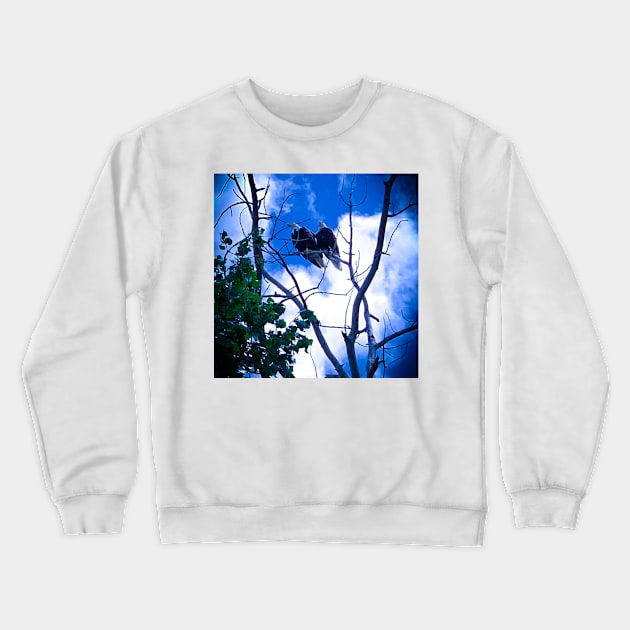 Bald Eagles Crewneck Sweatshirt by marisaj4488